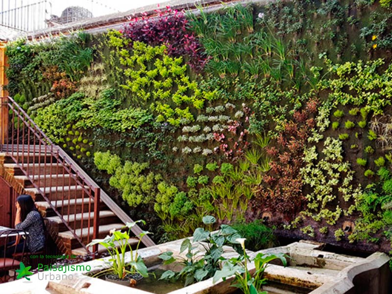 Alumnos Paisajismo Urbano