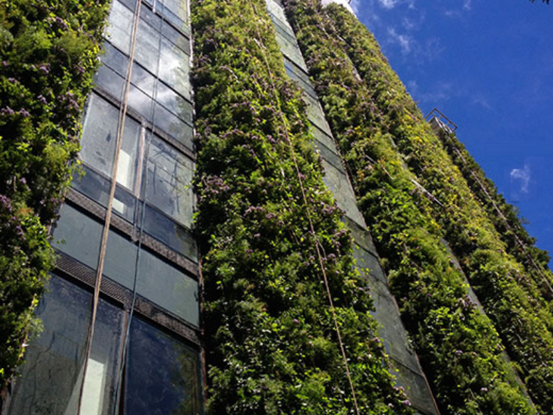 Paisajismo Urbano - Jardín Vertical más grande del mundo - Colombia