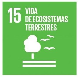 paisajismo-urbano-ods15